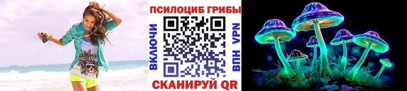 shop клад  купить  сайты  Краснодар  Галлюциногенные грибы ЛСД 
