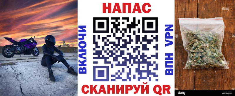 Марихуана ГИДРОПОН  продажа наркотиков  Краснодар 